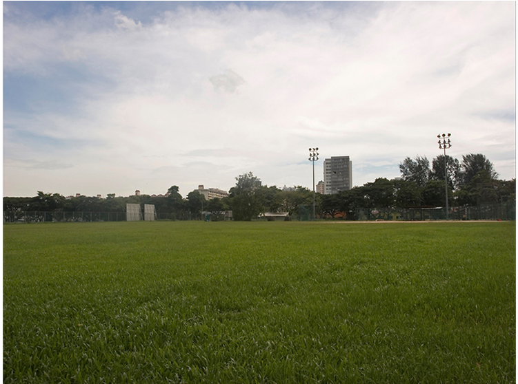 Singapore's National Team Lose Their Training Ground - Grass (991x557), Png Download