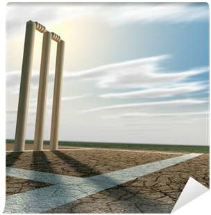 Cricket Pitch And Wickets Perspective Wall Mural • - Cricket Pitch Background (400x400), Png Download