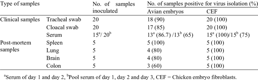 Newcastle Disease Virus Isolated From The Clinical - Disease (850x265), Png Download