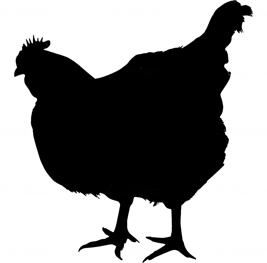 Farm Chicken Png - Chicken Silhouette With Transparent Background (950x950), Png Download
