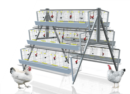 120 Birds Chicken Battery Cages - Battery Cages For Layers (469x316), Png Download