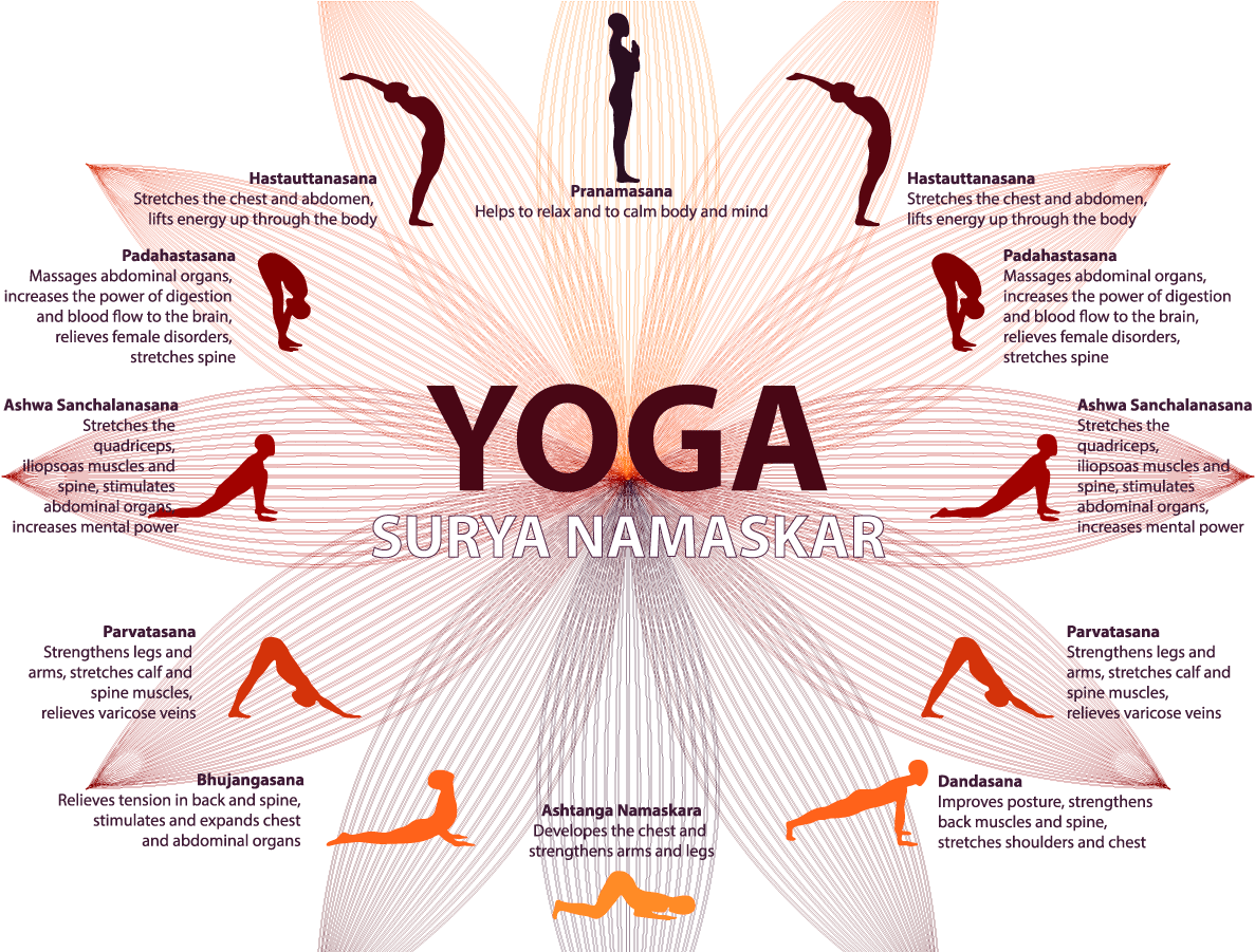 Surya Namaskar Practice Yoga - World Surya Namaskar Day (1200x900), Png Download