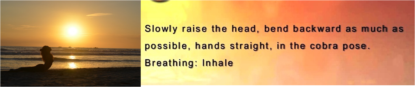The Seventh Surya Namaskar Yoga Pose - Colorfulness (1439x302), Png Download