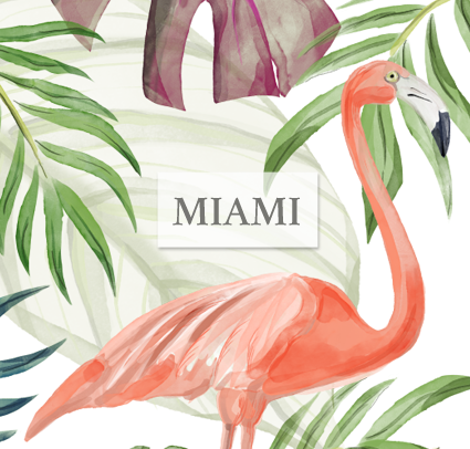 Miami Hurricanes Football (425x406), Png Download