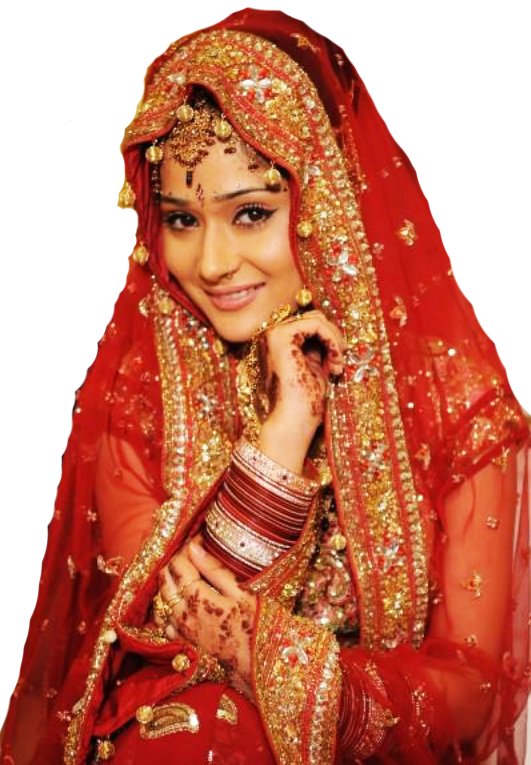 Download Wedding Saree In Chandni Chowk Arun Vastra Bhandar Printed