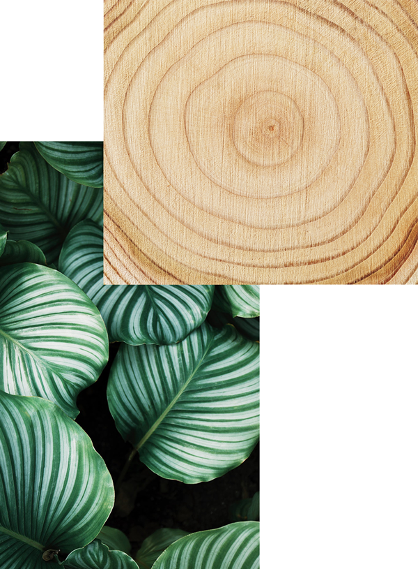 Natural - Notizbuch-set Wild, 3-tlg. (600x815), Png Download