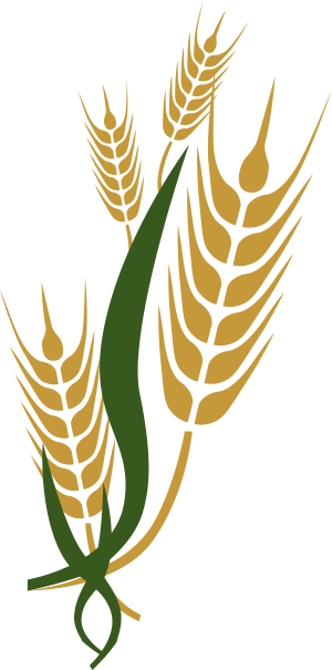 Farmer - Indian Farmer (300x605), Png Download