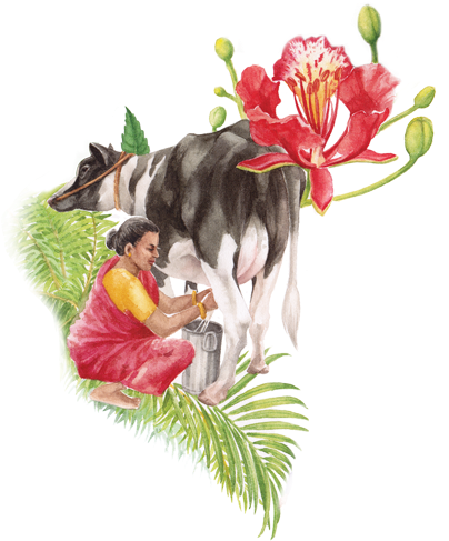 Arokya Milk (451x493), Png Download