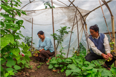 Free Indian Farmer Png - Sikkim (600x300), Png Download