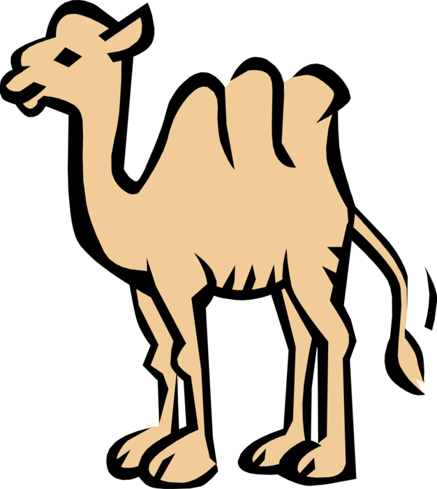 Vector Illustration Of Dromedary Beast Of Burden Camel - Camel (626x700), Png Download
