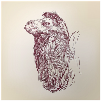 Stock Illustration (400x400), Png Download