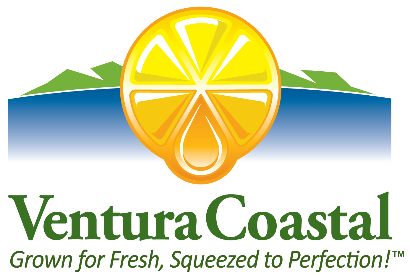 More Than A Glass Of Juice - Ventura Coastal Logo (1441x987), Png Download