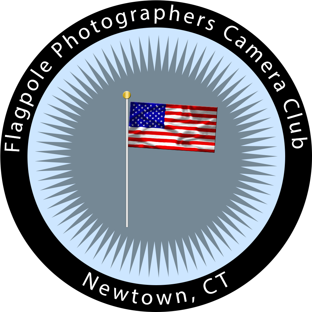 Flagpole Photographers Camera Club Logo X1050 - Three Tuns Clerics Cure (1050x1050), Png Download
