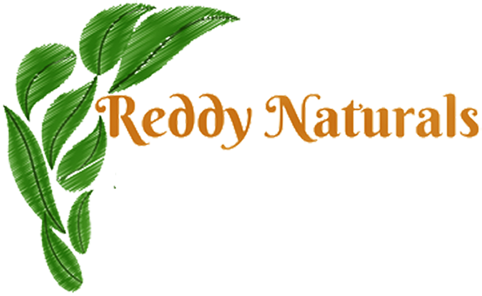 Reddy Naturals Reddy Naturals - Green Leaves Drawing (2000x1226), Png Download
