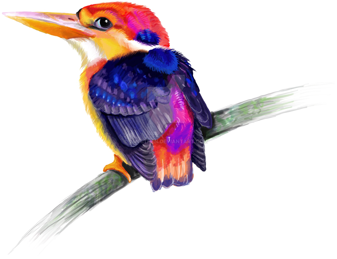 Kingfisher Png Transparent - Rabbit (1600x1333), Png Download