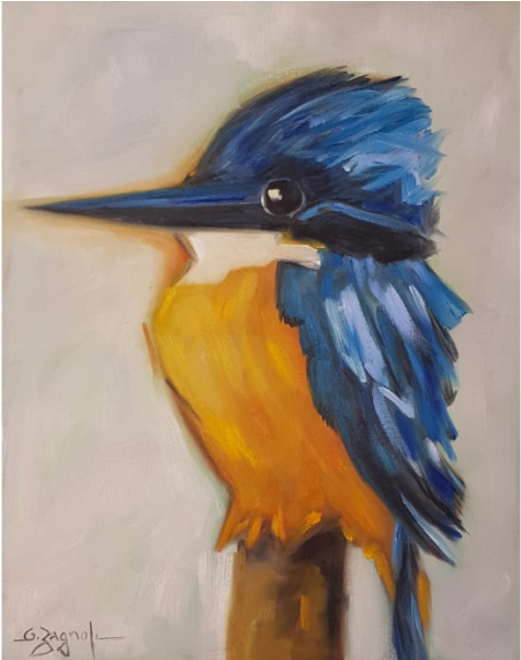 Passaros - Belted Kingfisher (600x600), Png Download