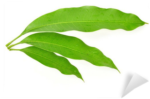 Stock Photography (400x400), Png Download