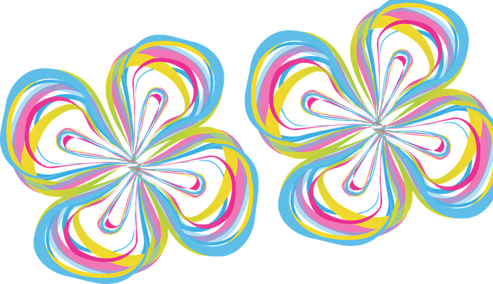 Flowers Colors Png (960x553), Png Download