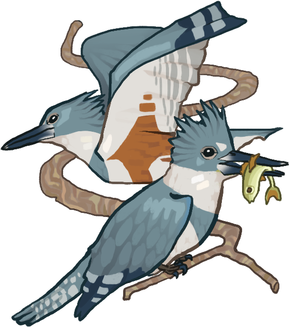 Kingfisher Pop Up Copy - Portable Network Graphics (867x1080), Png Download