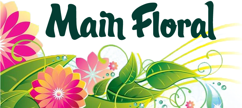 Main Floral (800x392), Png Download