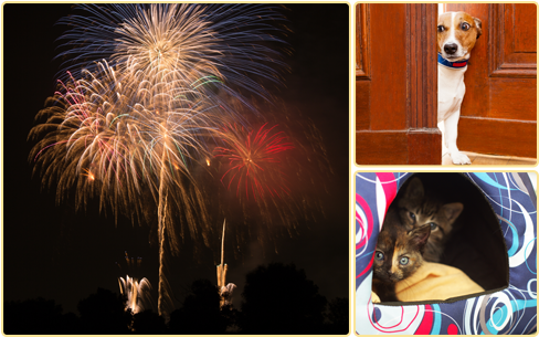 Fireworks - Hilfe, Es Klingelt! Besuchertraining Für Überfreundliche, (650x322), Png Download