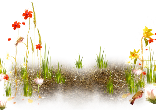 Flowers Plant Foreground Background Garden Stream Brook - Пришла Весна Png (500x398), Png Download