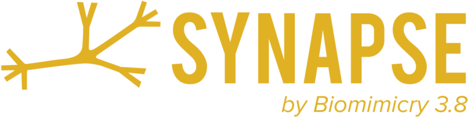 Static1 - Squarespace - Com - Suntegrity Sunset Coral Lip (1000x363), Png Download