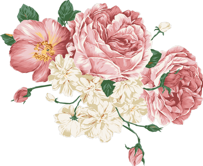Peonies Vector (692x567), Png Download