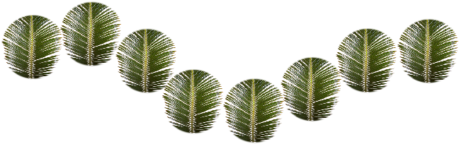 Sometimes We Want To Reproduce An Image Using A Brush - Coconut (692x288), Png Download