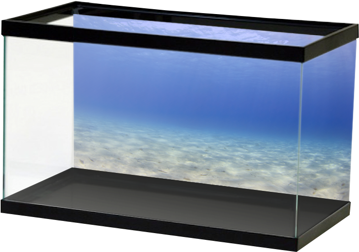 Lightblueopenwater (800x800), Png Download