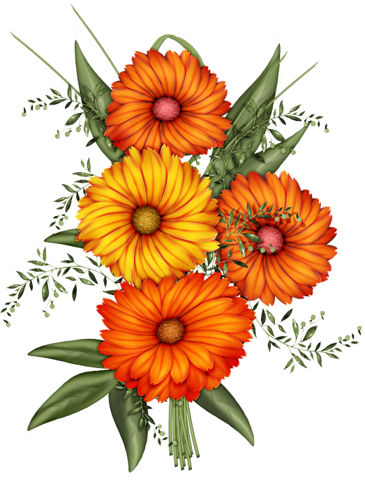 Pin By Ozledim Net On Png İçin Malzemeler - Flowers (523x700), Png Download