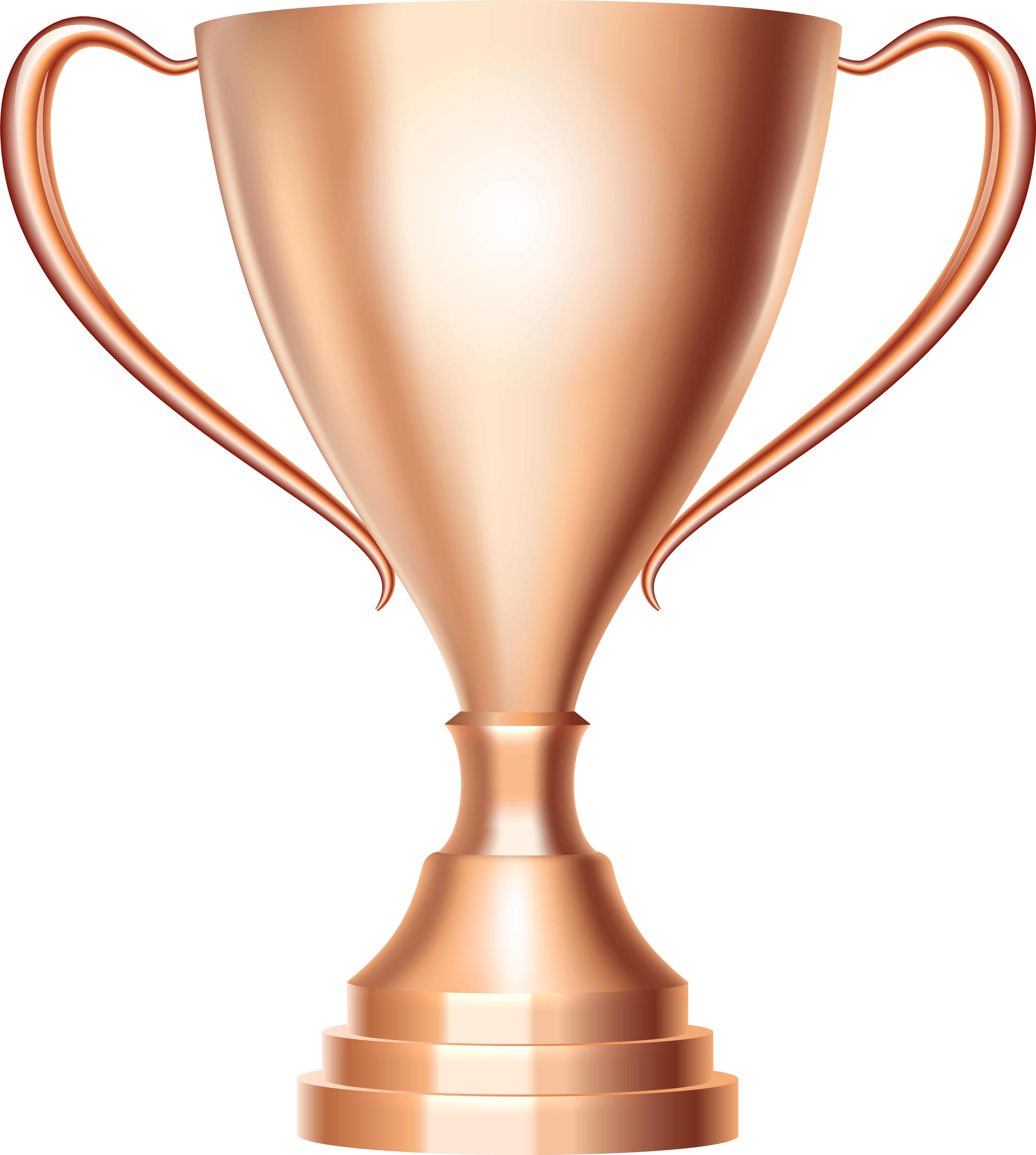 Bronze Trophy Cup Award Transparent Png Clip Art Image - Award Clipart Png (538x600), Png Download