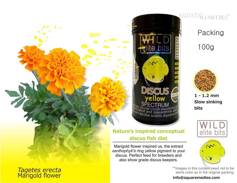 Wild Discus Bits Yellow - Marigold (1000x1000), Png Download