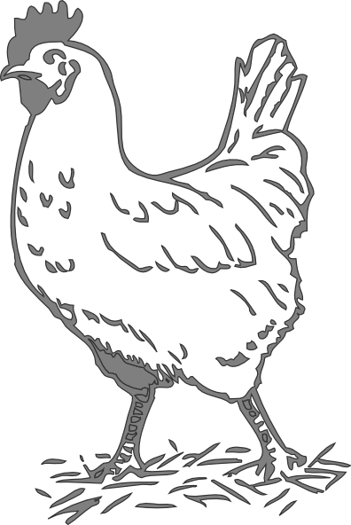 Svg Freeuse Library Gray Hen Clip Art At Clker Com - Black And White Chicken Clip Art (396x592), Png Download