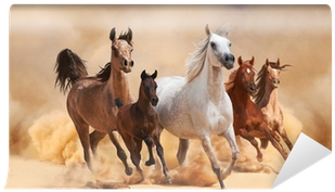 Painel Lona Festa 1,80x1,20mt Cavalos No Deserto (400x400), Png Download