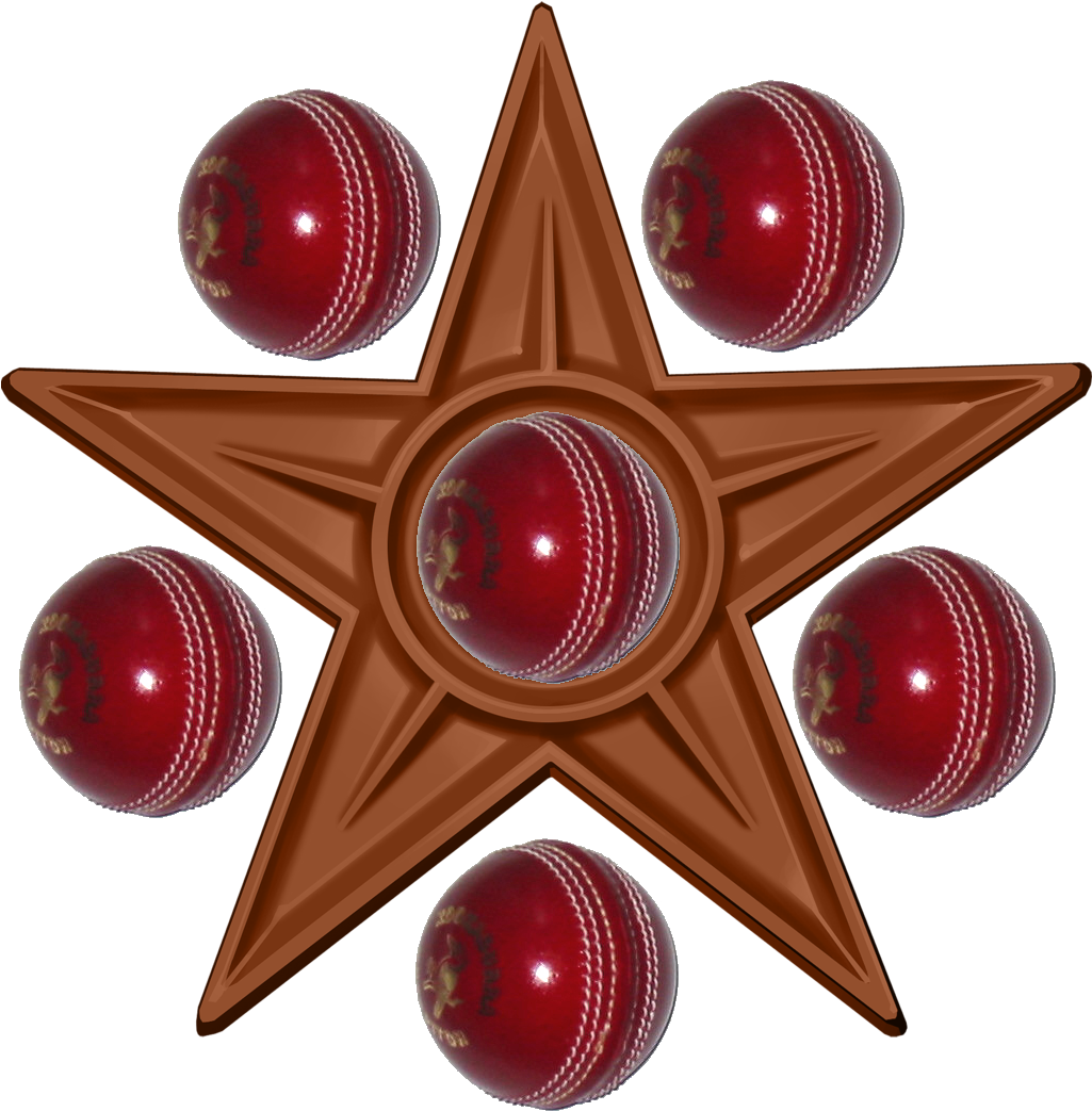 Cricket Bowler Barnstar - Graphic Design: Questions And Answers (1134x1134), Png Download
