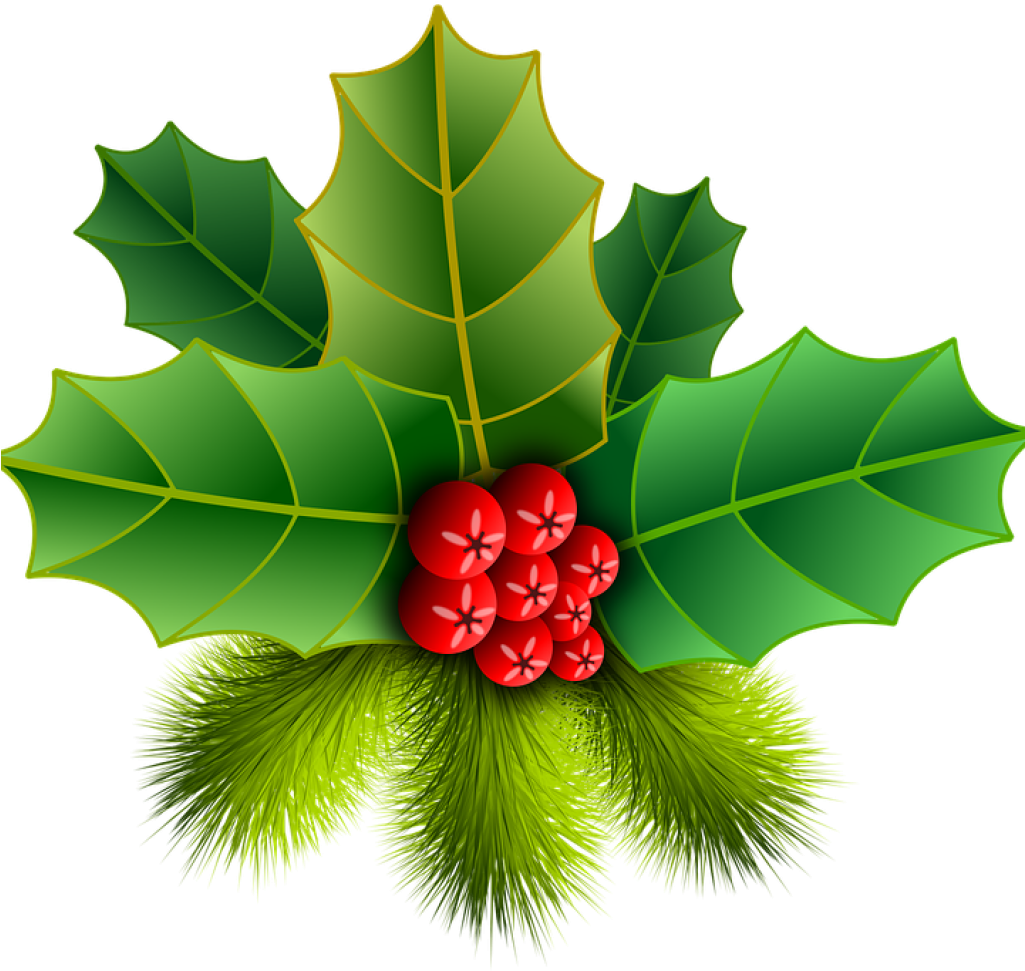 Christmas Holly Picture Christmas Holly Pinheiro Free - Christmas Leaf (1024x1024), Png Download
