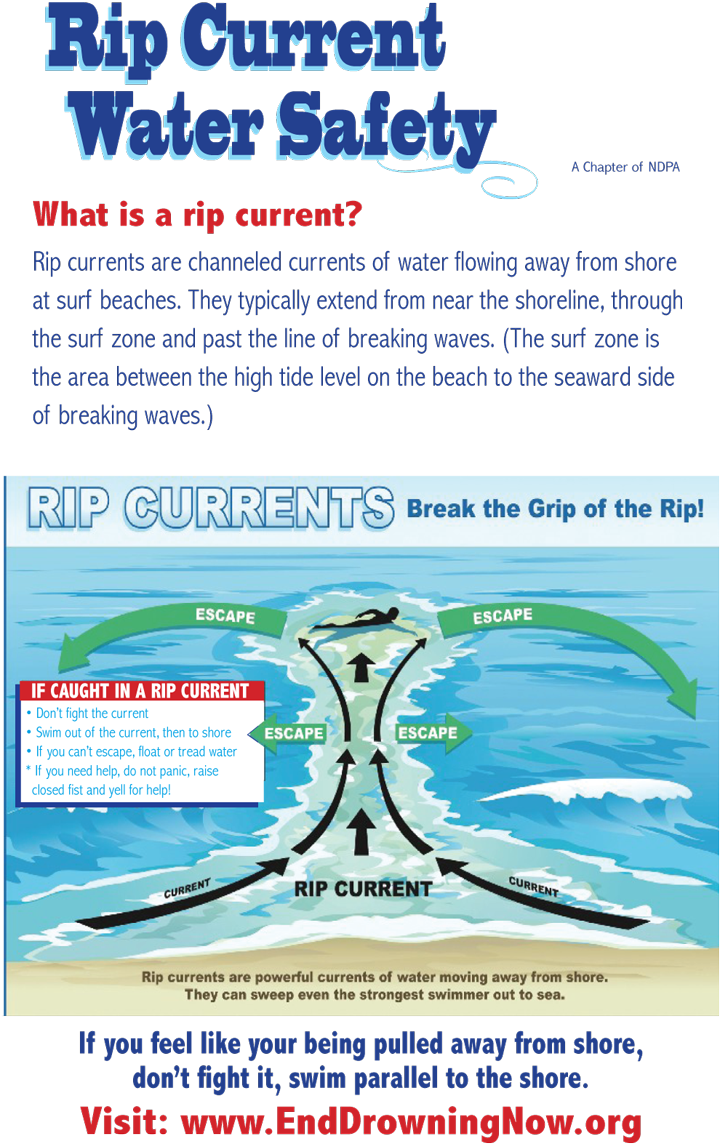 Edn Watersafetybooklet 05 16 Aquarium Page - Rehoboth Beach (800x1236), Png Download