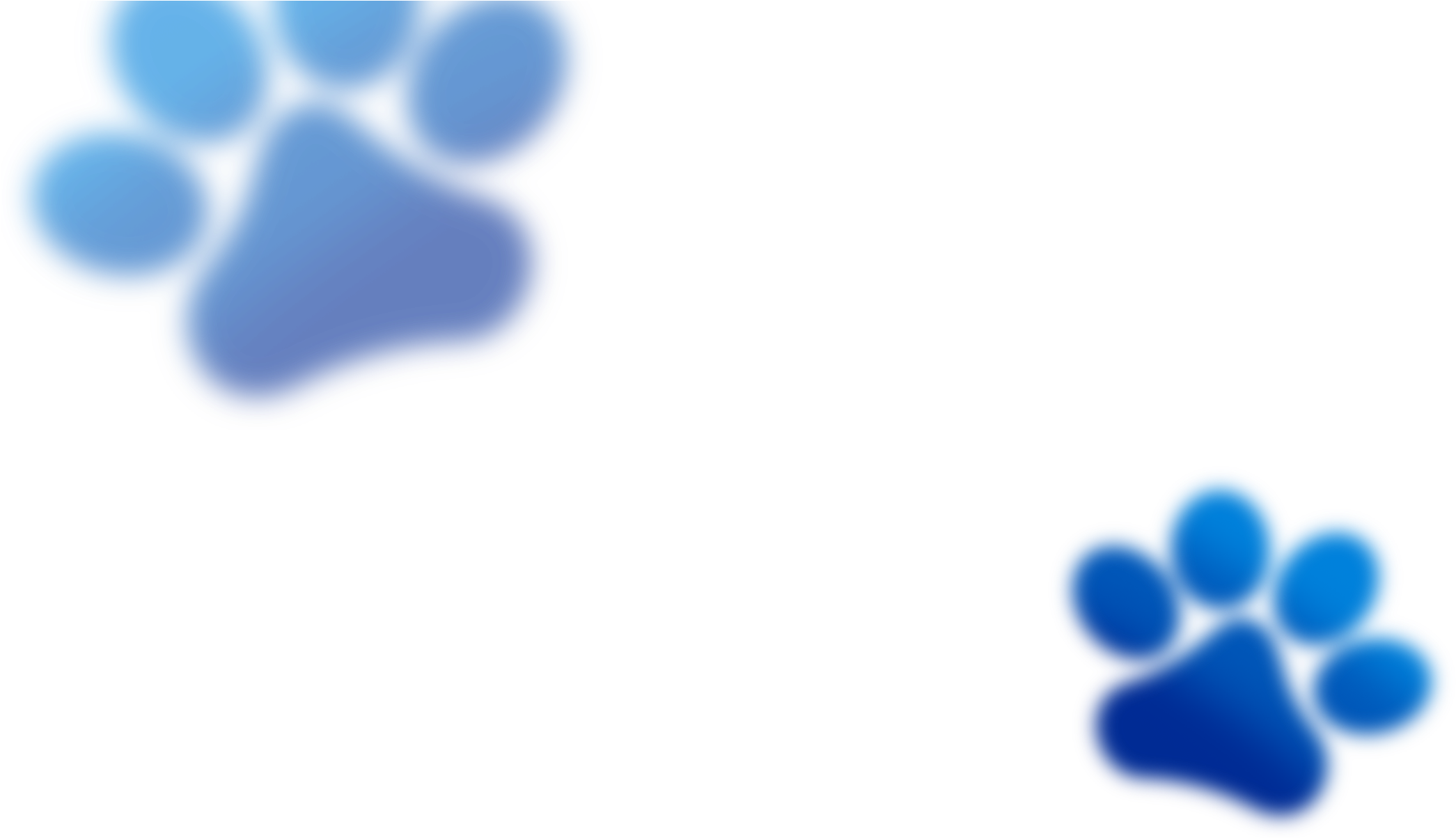 Head Paws Trans - Portable Network Graphics (2310x1232), Png Download