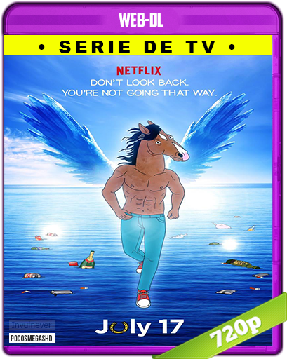 Realsteel1080 - Bojack Horseman Season 3 Customised 60cm X 70cm Silk (542x542), Png Download