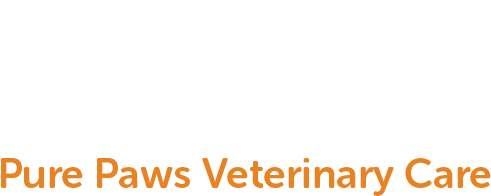 Visit Pure Paws Veterinary Care For The Finest Veterinary - Rock And Wok (601x200), Png Download