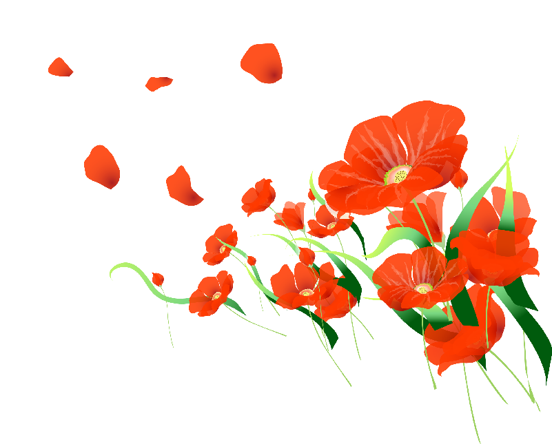 Visit - Anthurium (800x694), Png Download