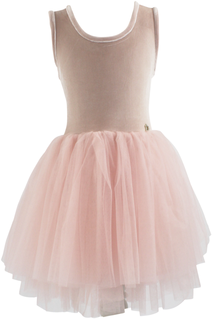 Dolly By Le Petit Tom Velvet Essential Tutu Dress Ballet - Ballet Dress Transparent (795x1200), Png Download