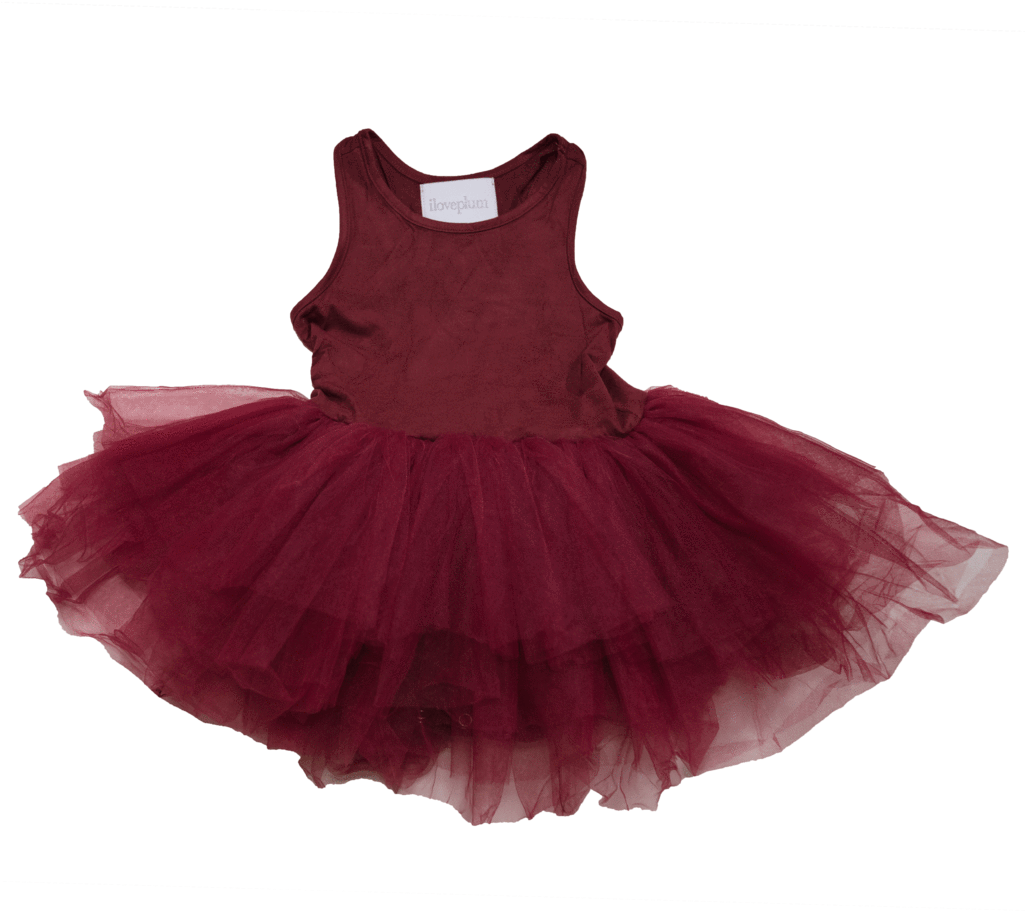 Darcy Suede Tutu Dress - Ballet Tutu (1024x1024), Png Download