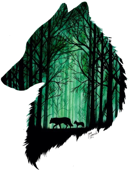 Tutu - Call Of The Wild; Paperback; Author - Jack London (550x721), Png Download