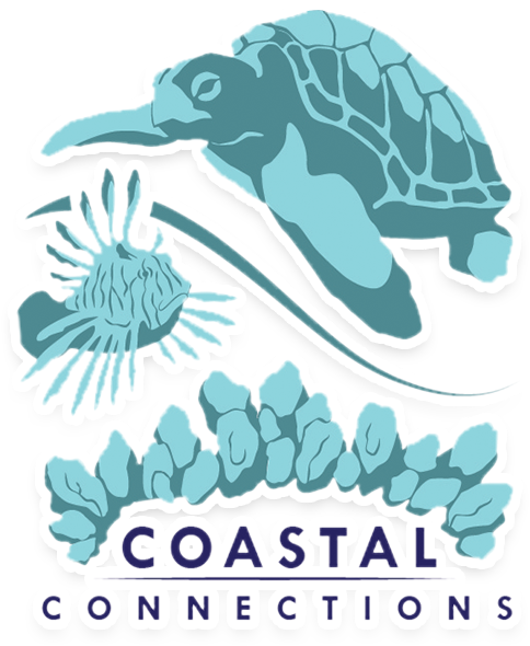 Illustration (660x660), Png Download