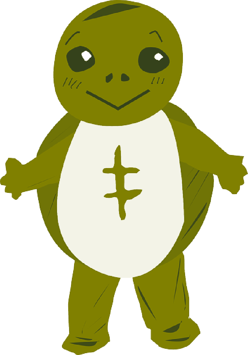 Mb Image/png - Turtle Clip Art (800x1145), Png Download