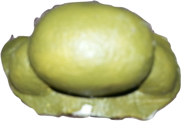 Ogre Nose - Musical Theatre (779x519), Png Download