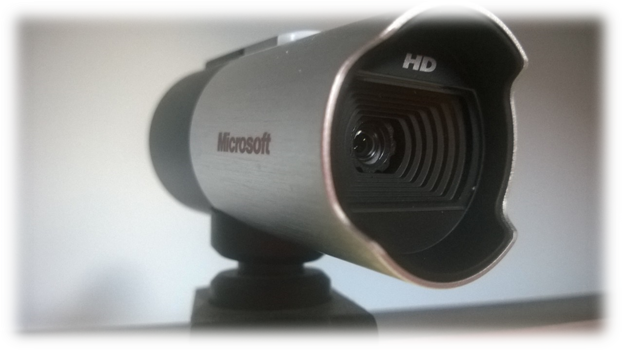 A Webcam Picture Supporting One Of The Webinar Tips - Webcam Webinar (1276x719), Png Download