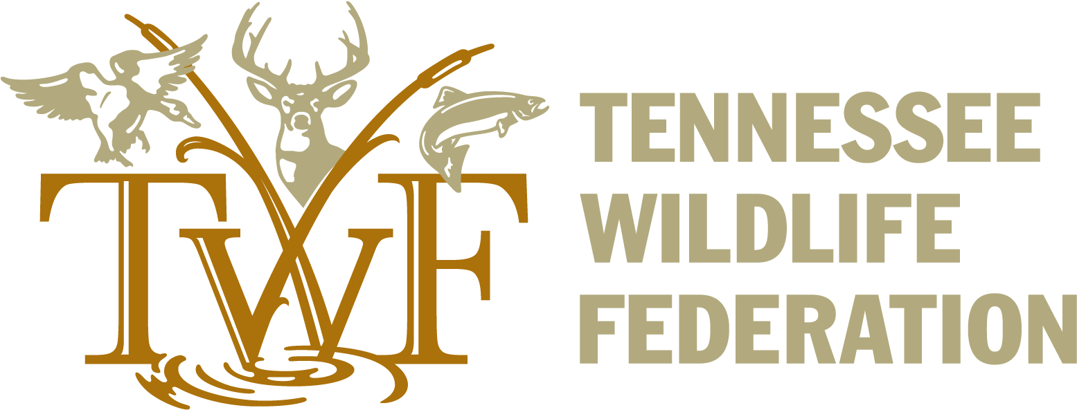 Tennessee Wildlife Federation (1617x657), Png Download